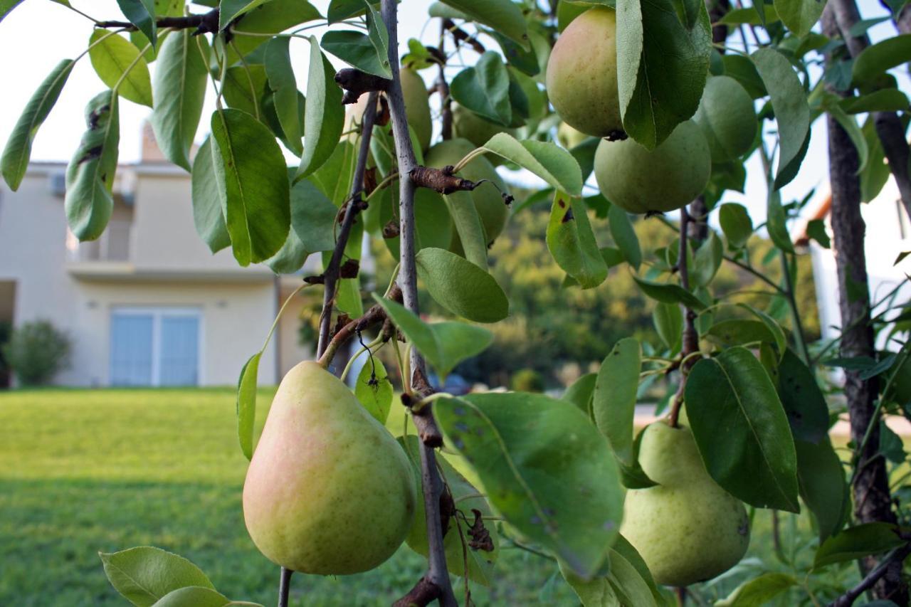 Buna Villa Luka מראה חיצוני תמונה
